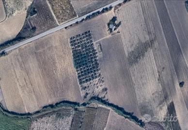 Terreno agricolo con fabbricato - Alanno (PE)