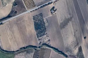 Terreno agricolo con fabbricato - Alanno (PE)