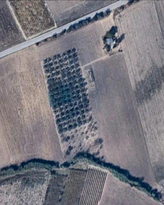 Terreno agricolo con fabbricato - Alanno (PE)