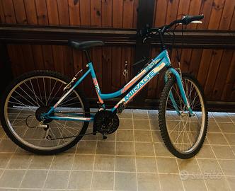 Bicicletta