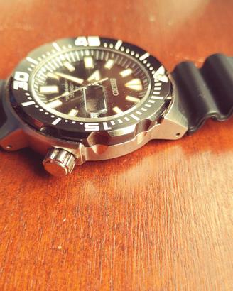Seiko Monster