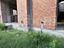Immagine 28