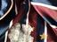 Immagine 3