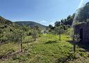 ter-agricolo-a-gussago