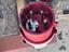 Immagine 3