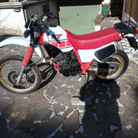 Xt 600 Dell 84