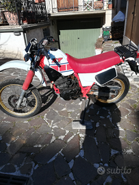 Xt 600 Dell 84