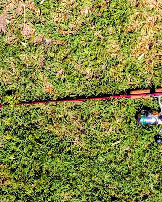 Canne da pesca da spinning