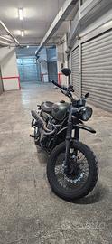 Triumph Scrambler