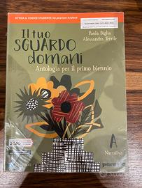 Il tuo sguardo domani