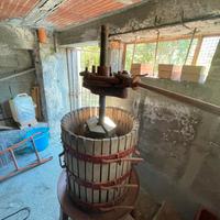 Torchio per vendemmia