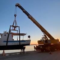 Autogrù Coles 45 ton