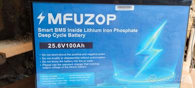 Batteria al  Litio 24volt  100Ah