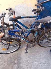 tris bici