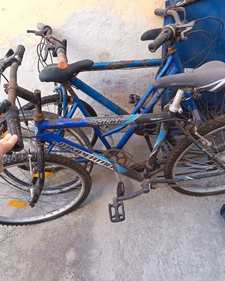 tris bici