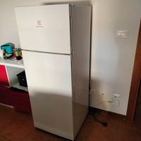 Frigorifero Electrolux LTB1AF