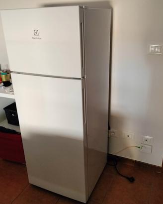 Frigorifero Electrolux LTB1AF
