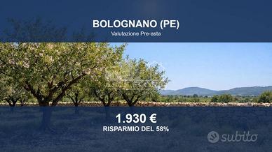 Immobile in asta di 8690 m² a Bolognano