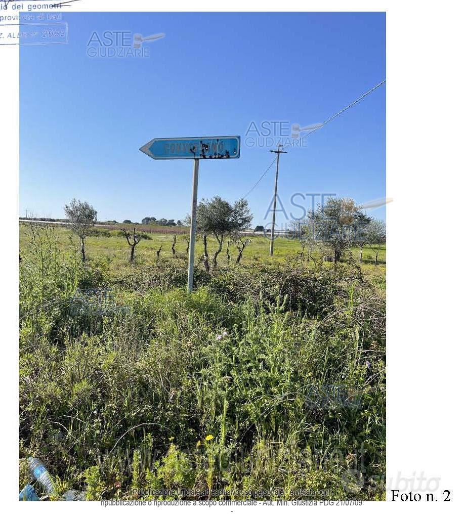 Terreno Agricolo Mola di Bari [A4294260] - Vista 3