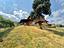 Immagine 21