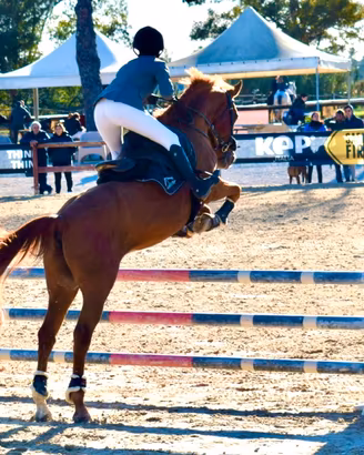 Pony Salto Ostacoli e scuola