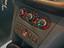 Immagine 19