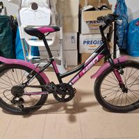 Bici Dino bikes 420 girls 20 pollici