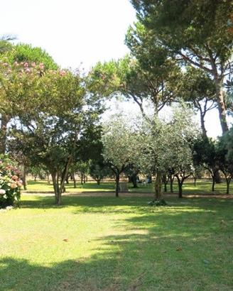Villa fondi mare