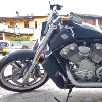 Harley davidson v rod muscle