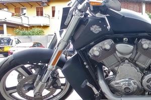 Harley davidson v rod muscle