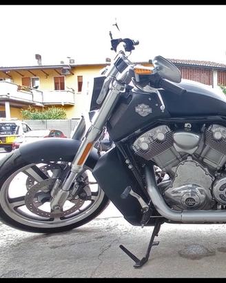Harley davidson v rod muscle