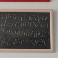 pennini di beccaccia 