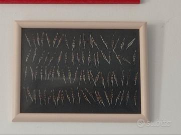 pennini di beccaccia 