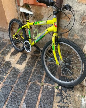 Bici mountainbike