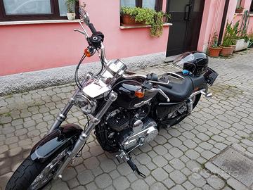 Harley Davidson Sporster 1200 Custom