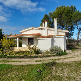 Villetta su tre ettari di terreno 400 piante ulivo