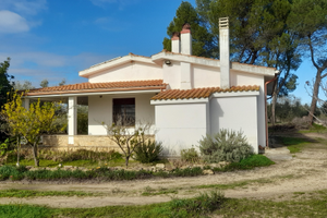 Villetta su tre ettari di terreno 400 piante ulivo