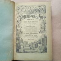 Libro 1878, l'apicoltura in Italia