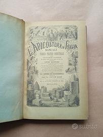 Libro 1878, l'apicoltura in Italia