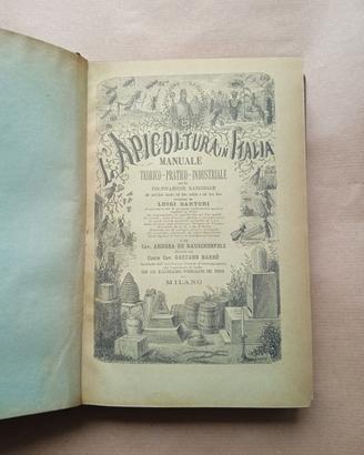 Libro 1878, l'apicoltura in Italia