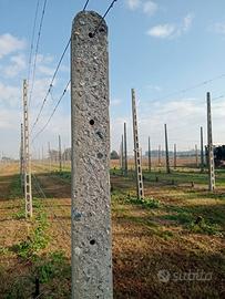 pali in cemento