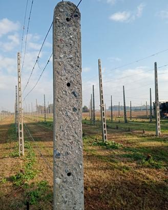 pali in cemento