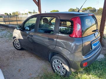 Panda 2019 come nuova