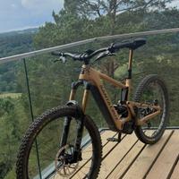 Santa Cruz BULLIT X01 AXS RSV Coil / Carbon CC 202