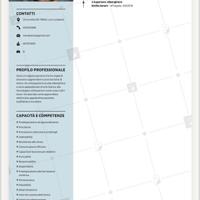 Edilizia muratore ,preparazione panini ,cameriere