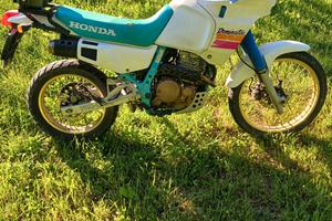 honda dominator