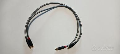 Cavi rca