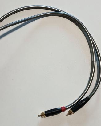 Cavi rca