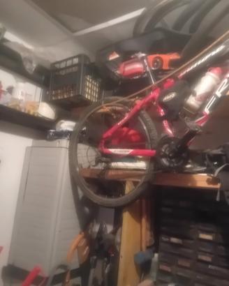 bicicletta 