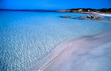 Casa vacanze sardegna (calasetta-sud sardegna)